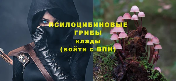 COCAINE Майский