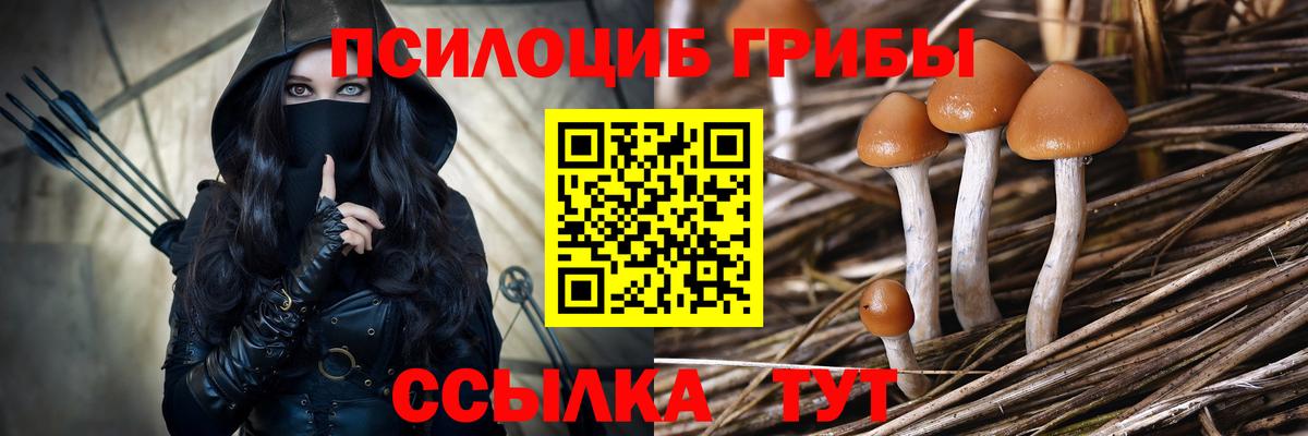 Псилоцибиновые грибы мухоморы  Вход с VPN  Дербент 