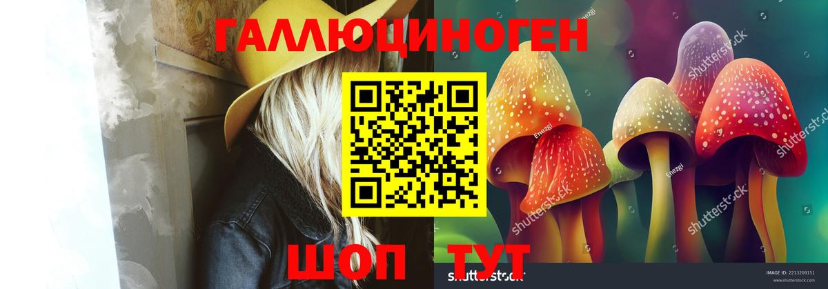 Псилоцибиновые грибы ЛСД  Псилоцибиновые грибы GOLDEN TEACHER  Дербент 