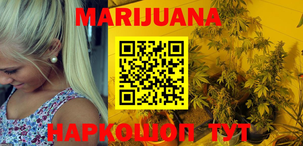 Марихуана тримм  Дербент  Шишки марихуана план  Марихуана Amnesia 